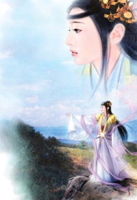 2009台海戰爭