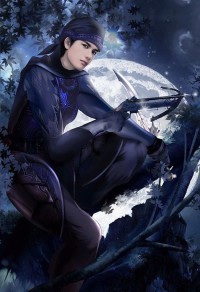 司马洛新传