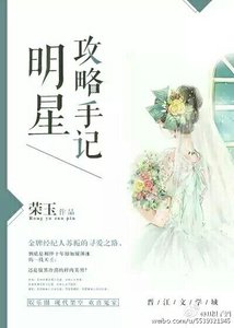 明星攻略手记